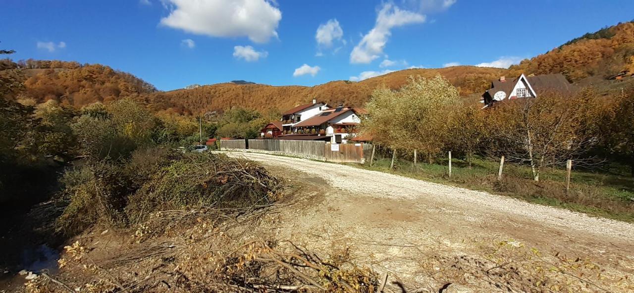 Cabana Poiana Galdei Exteriör bild